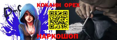 крисы Пенза