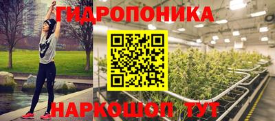 крисы Пенза