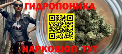 амф Пушкино