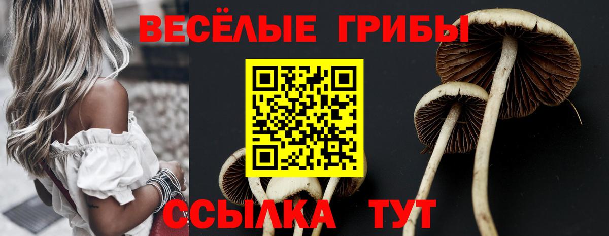Псилоцибиновые грибы Cubensis  Вход с VPN  Галлюциногенные грибы GOLDEN TEACHER  купить   Ревда 